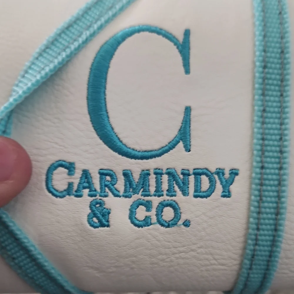 Carmindy And Co Makeup Brushes And Holder